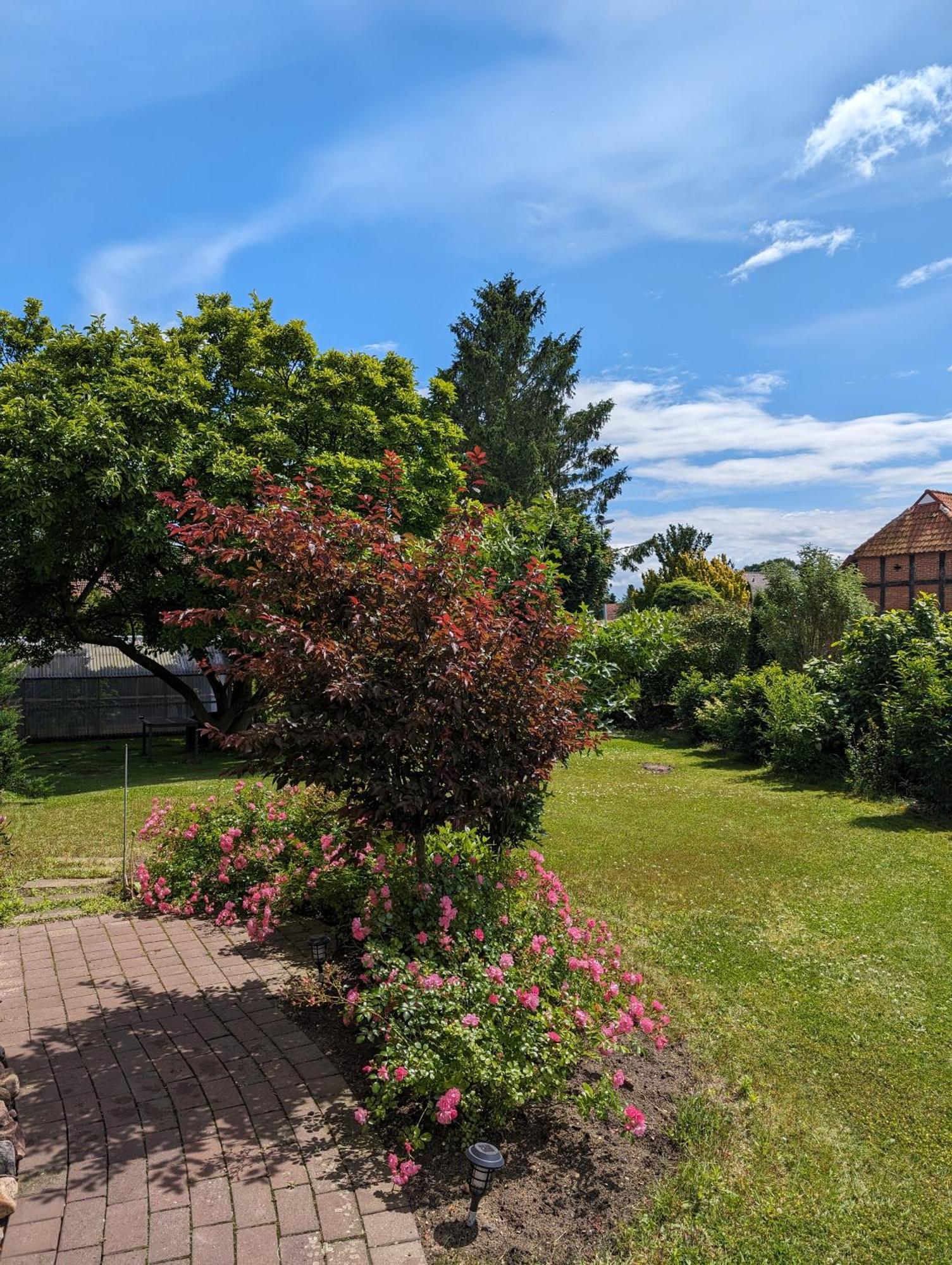 Ferienwohnung Bullersberg Balge Экстерьер фото