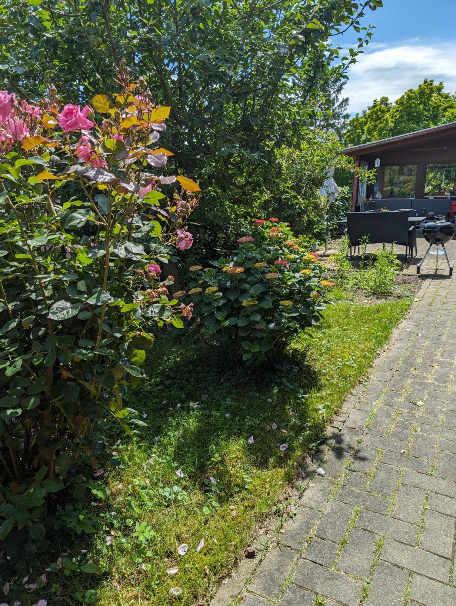 Ferienwohnung Bullersberg Balge Экстерьер фото